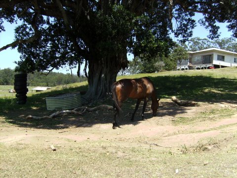 More rural witnessing photos