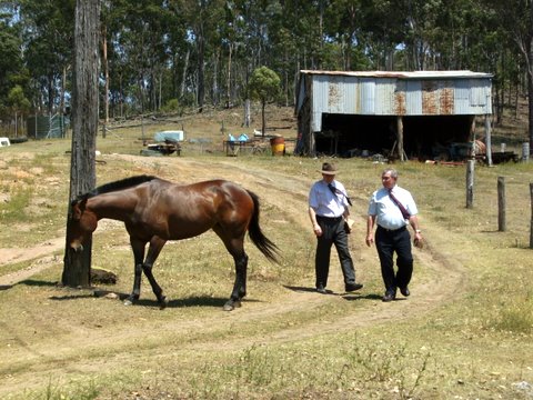 More rural witnessing photos