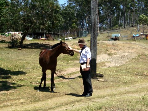 More rural witnessing photos