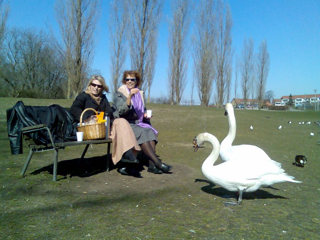 Lunch break at Valby park