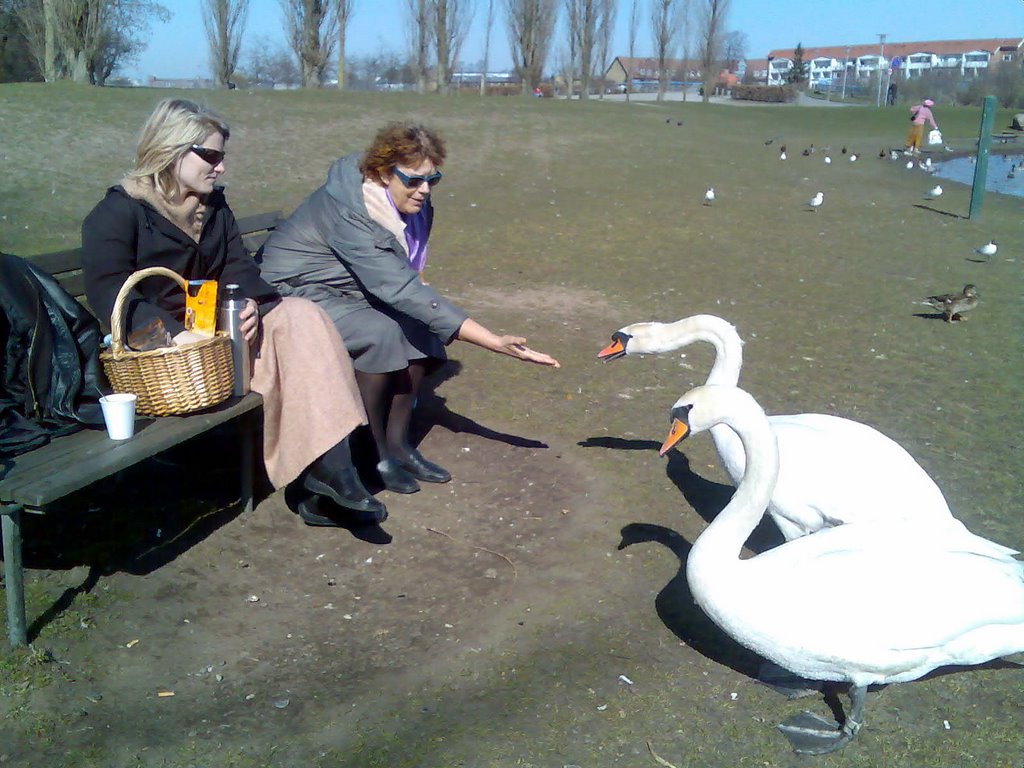 Lunch break at Valby park