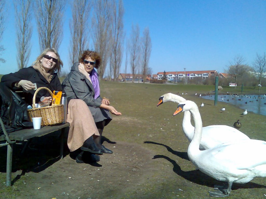Lunch break at Valby park