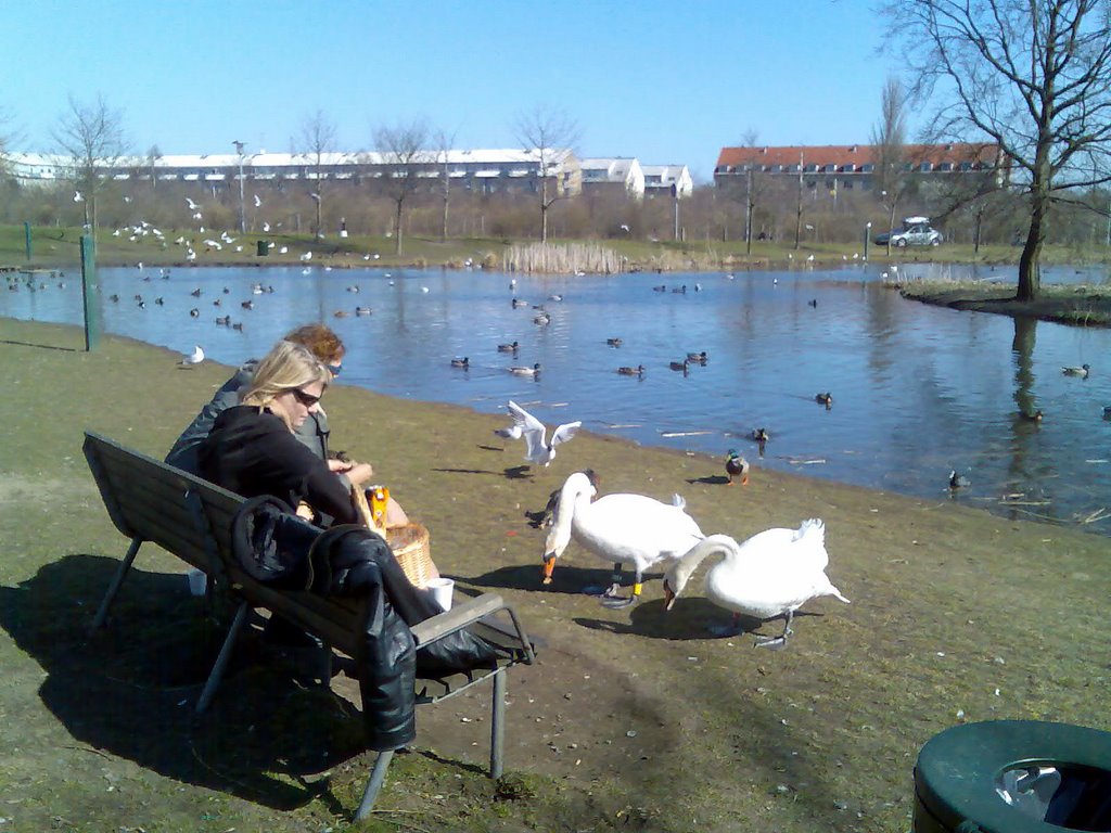 Lunch break at Valby park
