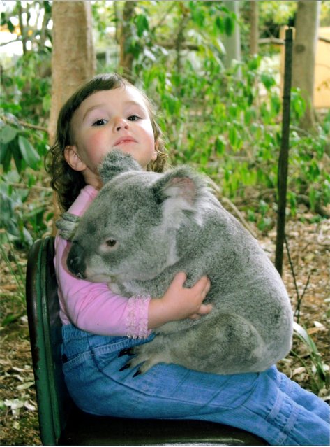 What is cutest?