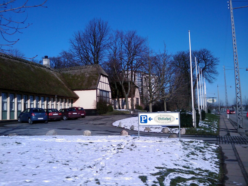 Snow photos February 2008