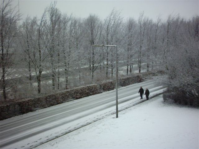 Snow