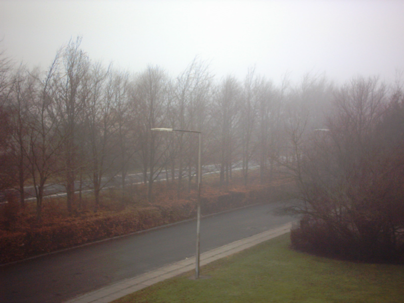 Foggy
