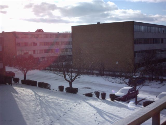 Snow photos