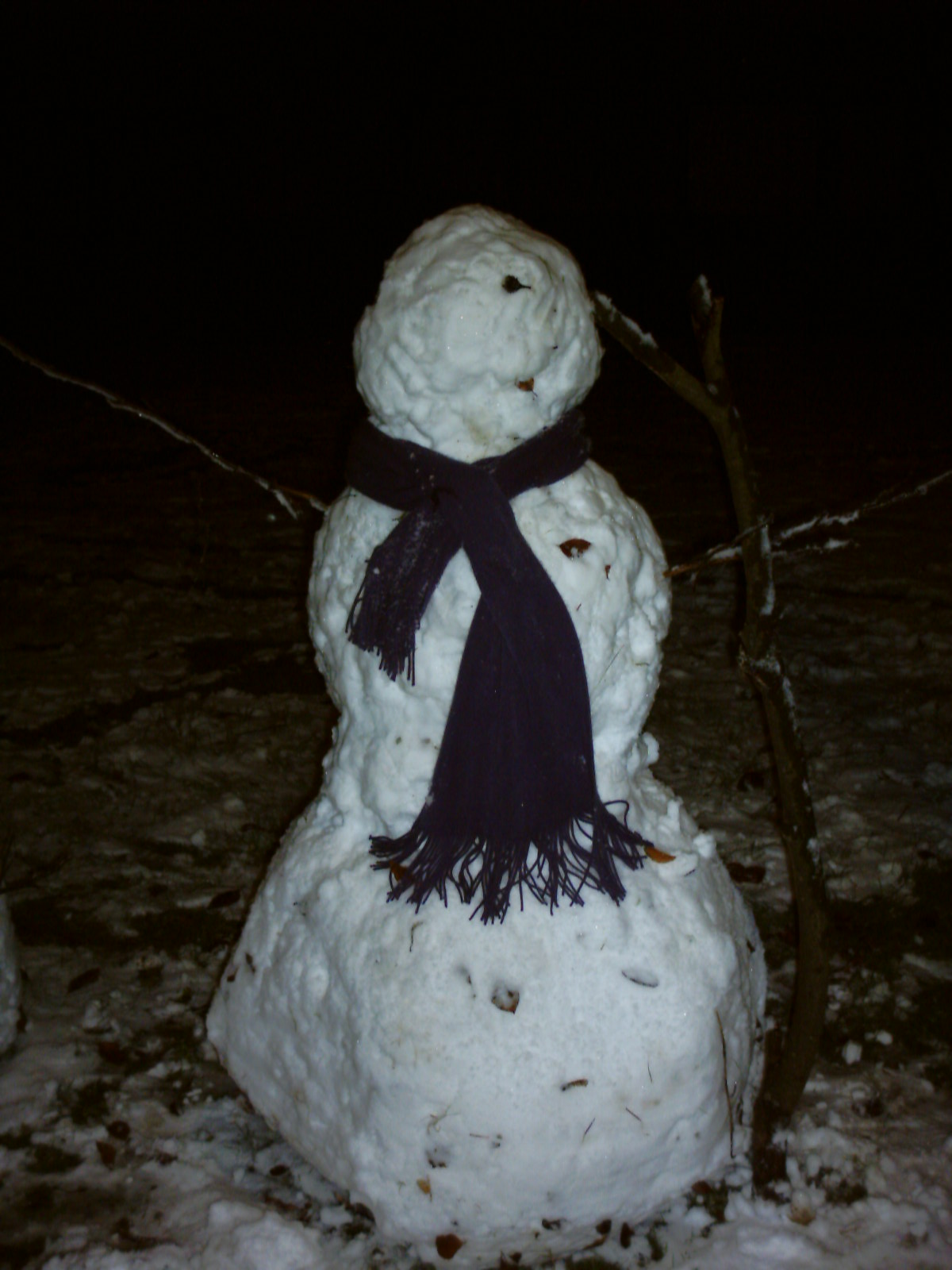 Who wants to have a snow fight?