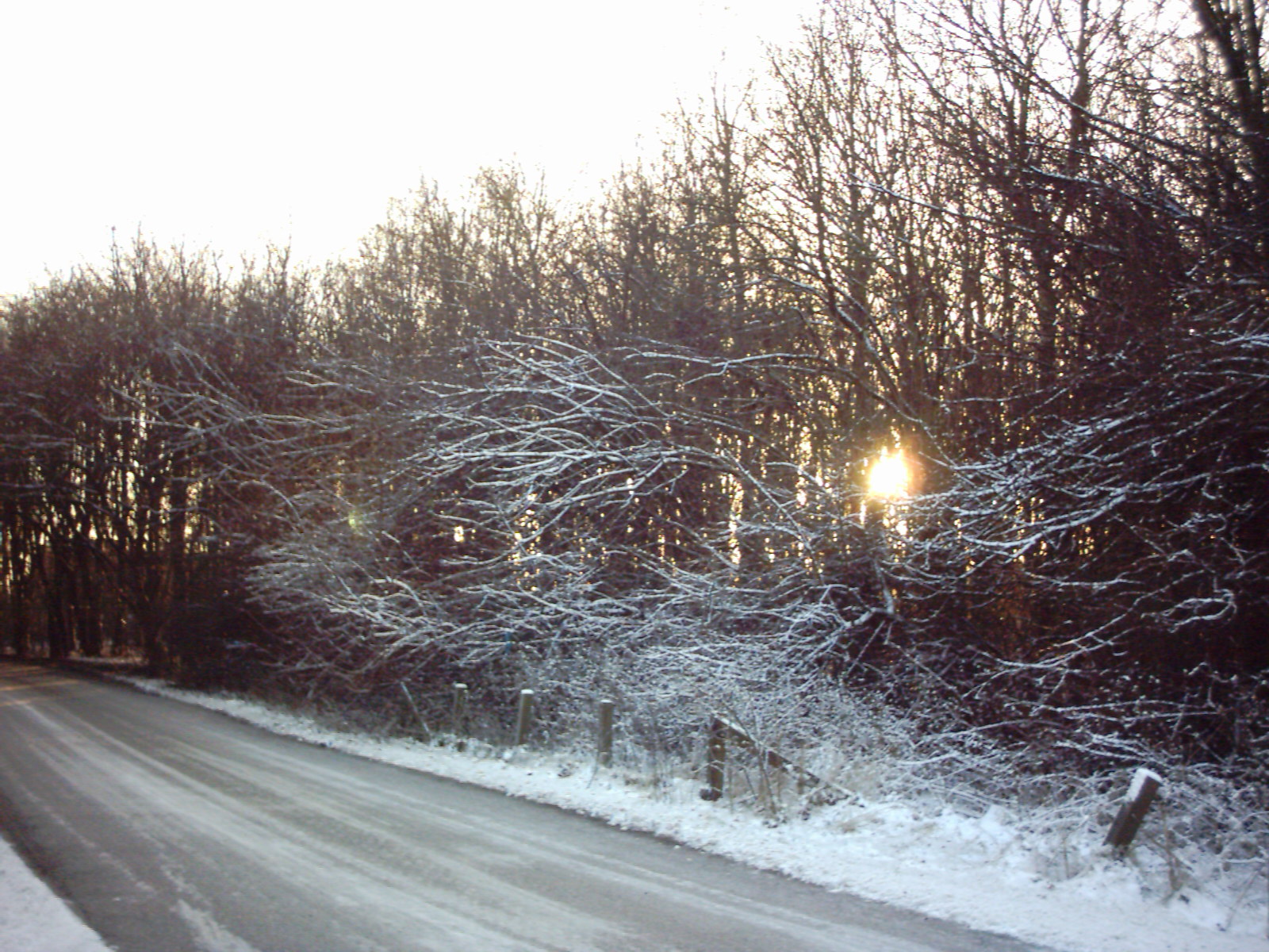 A nice afternoon in the snow.