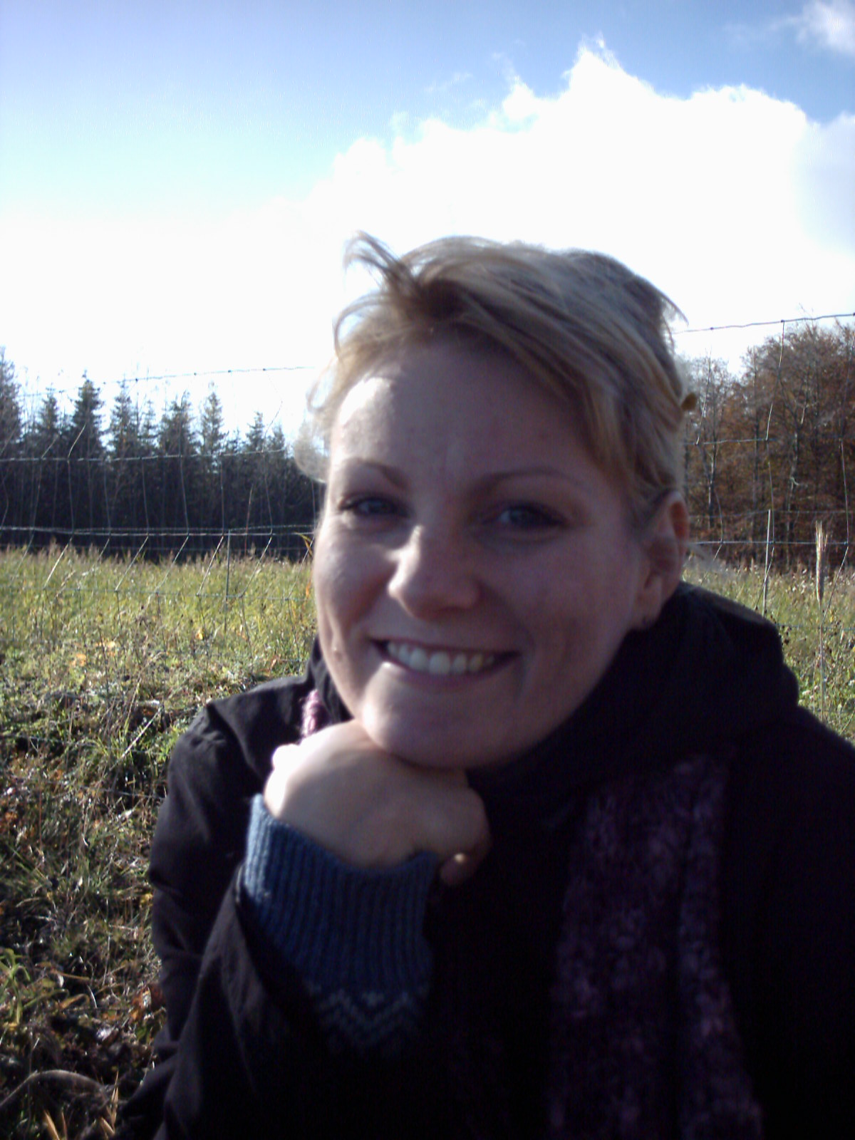 Another beautiful day and a walk in a forest.