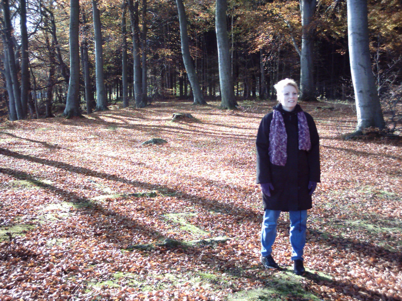 Another beautiful day and a walk in a forest.