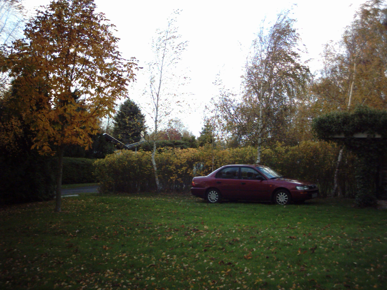Brombærvej 9