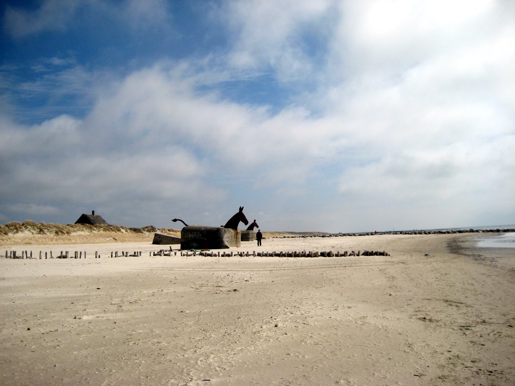 Blaavand Beach
