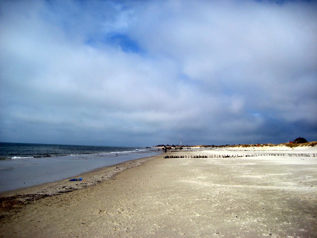Blaavand Beach