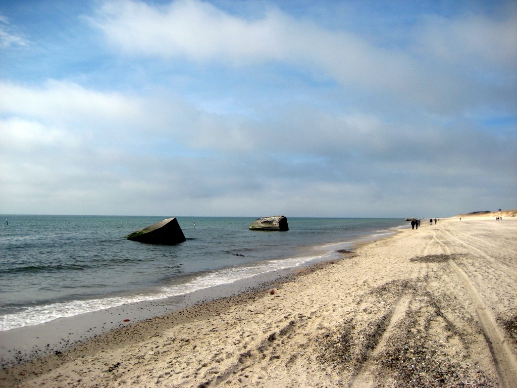 Blaavand Beach