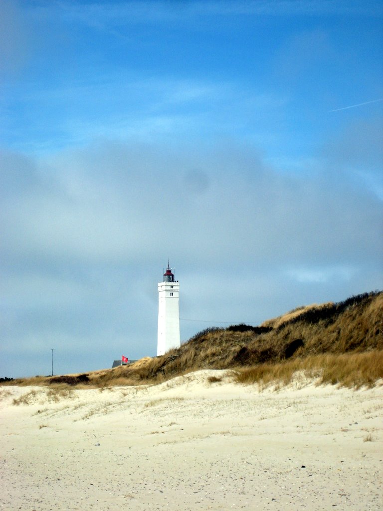Blaavand Beach