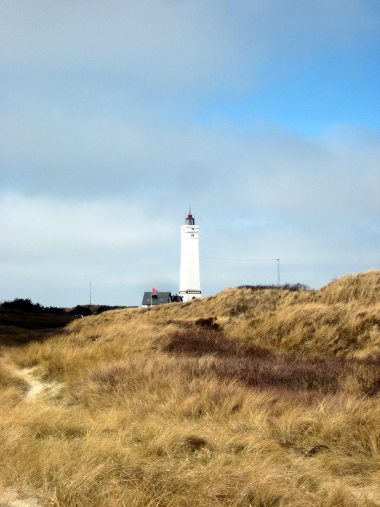 Blaavand Beach