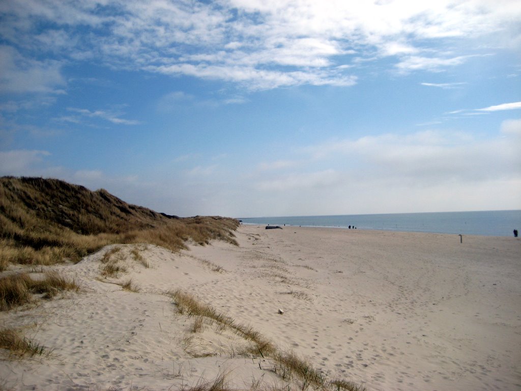Blaavand Beach