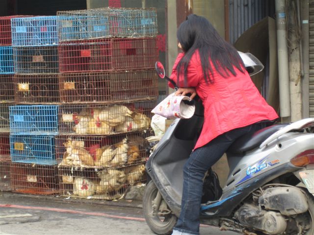 Taiwan shopping