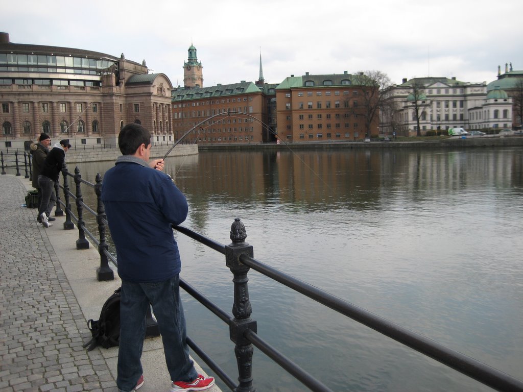 Around Stockholm