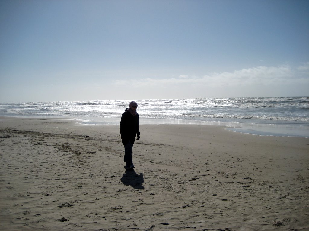 A walk along the Beach