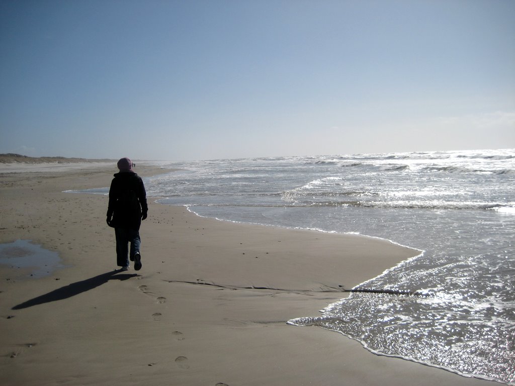 A walk along the Beach