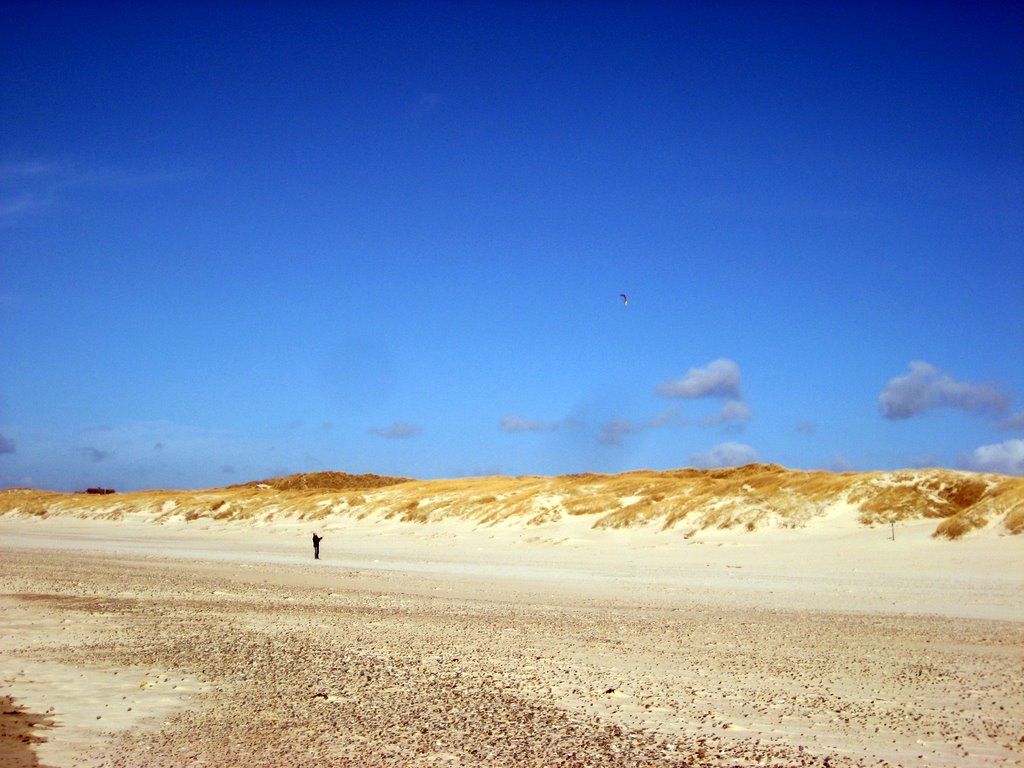 A walk along the Beach