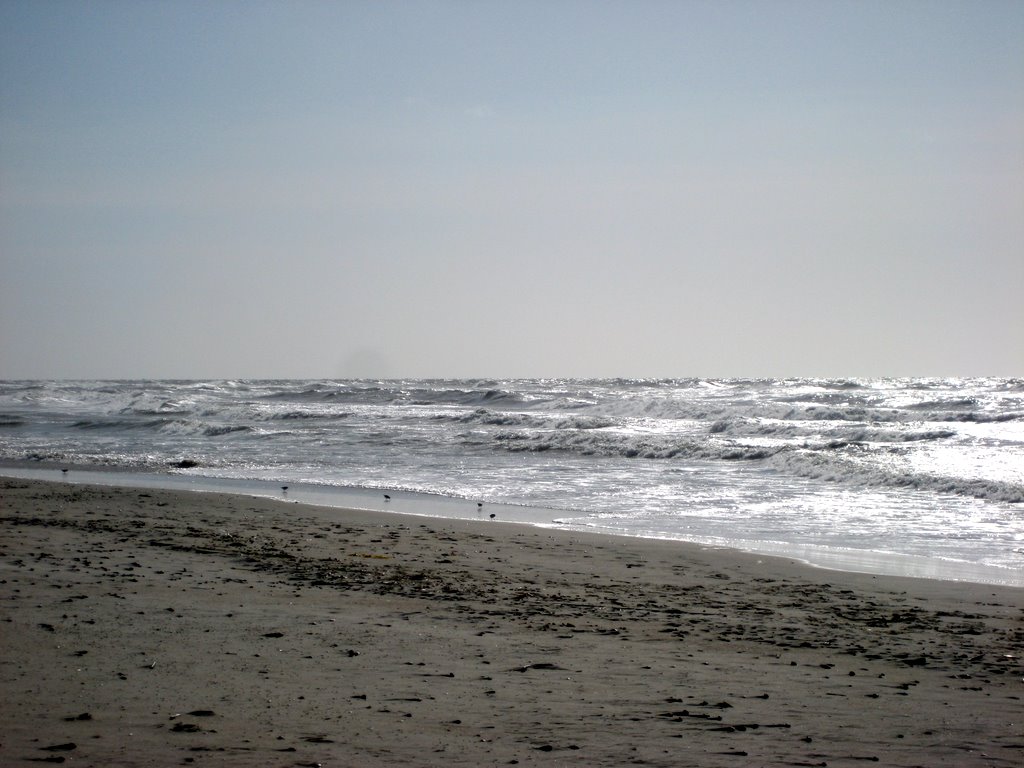 A walk along the Beach