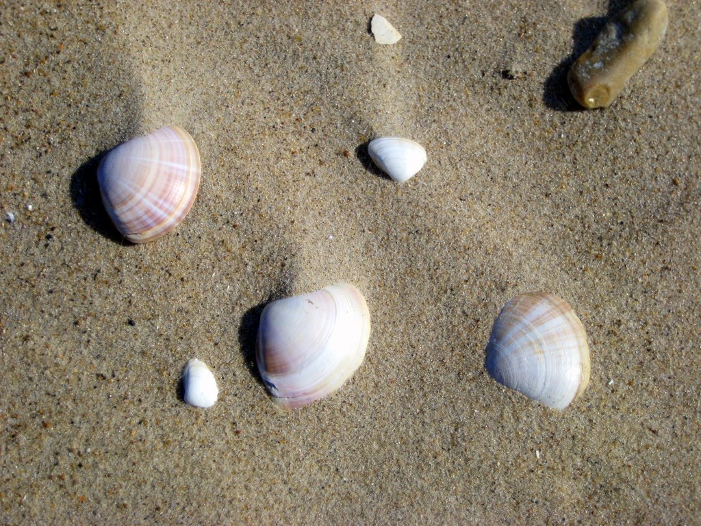 A walk along the Beach