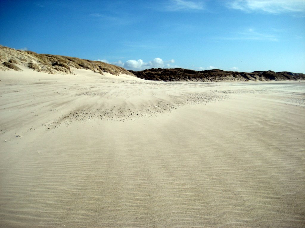 A walk along the Beach