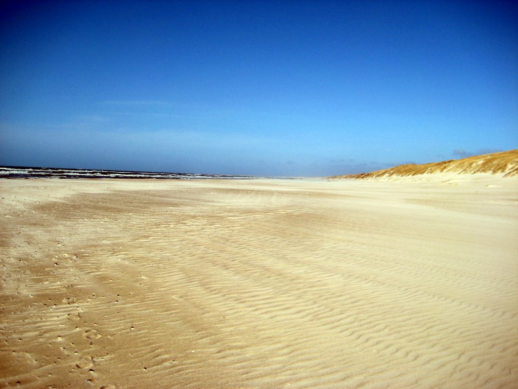 A walk along the Beach