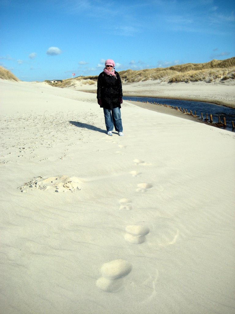 A walk along the Beach