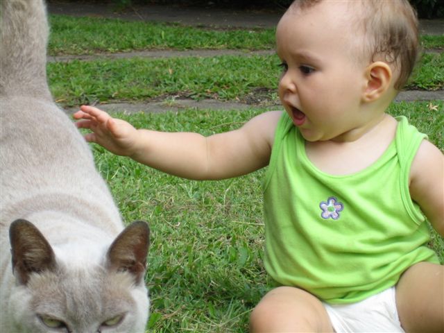 Cat tales