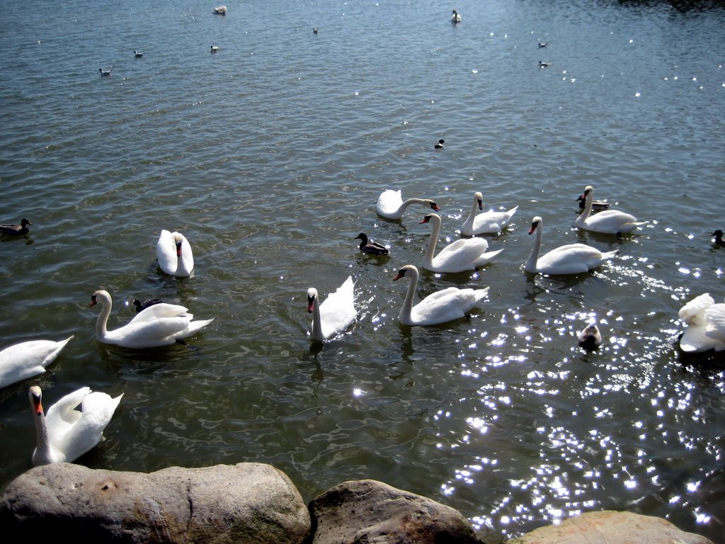 Brøndby Strand