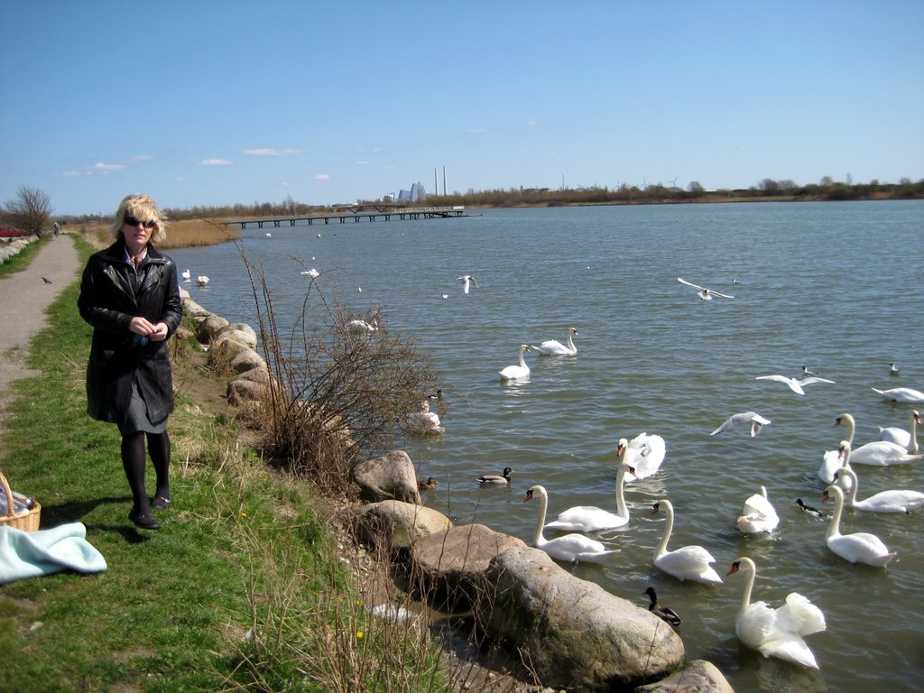 Brøndby Strand