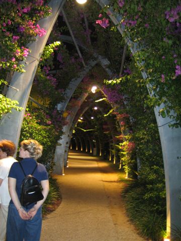 An arvo at South Bank