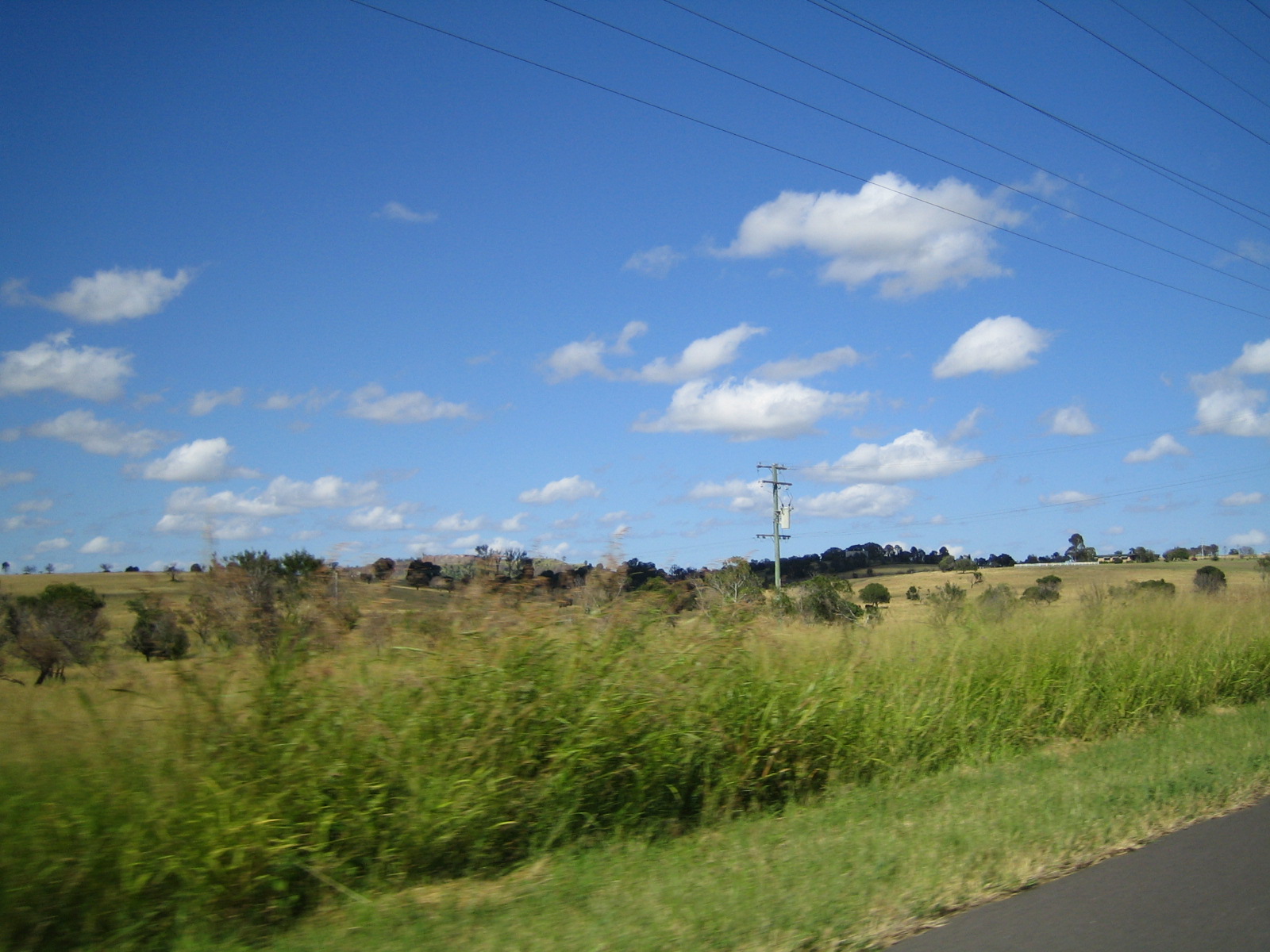 Trip to Laidley