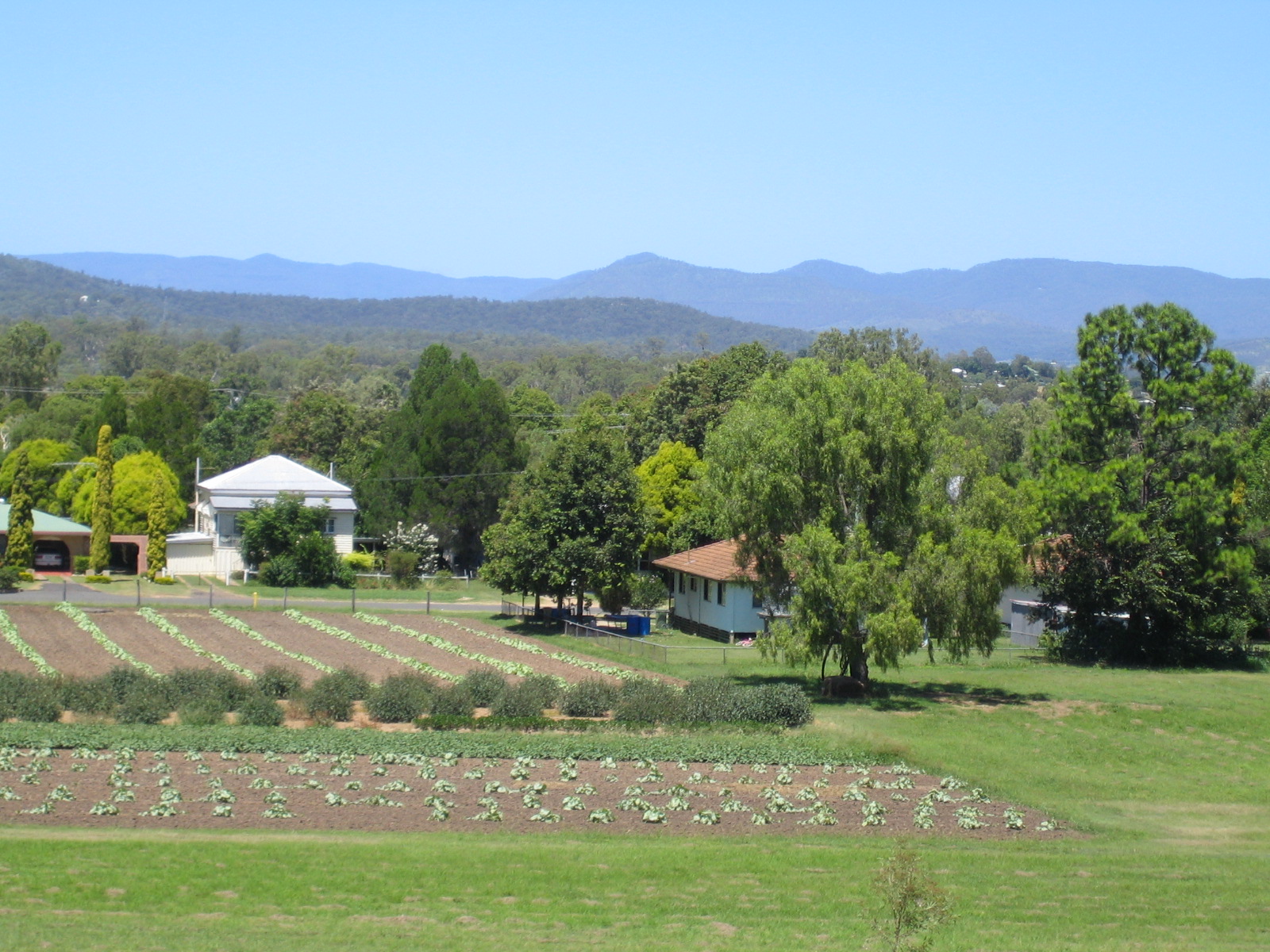 Australian houses