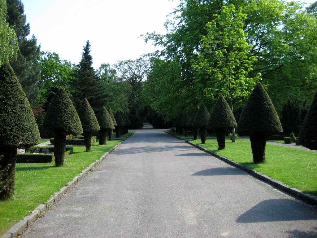 Danish Graveyard