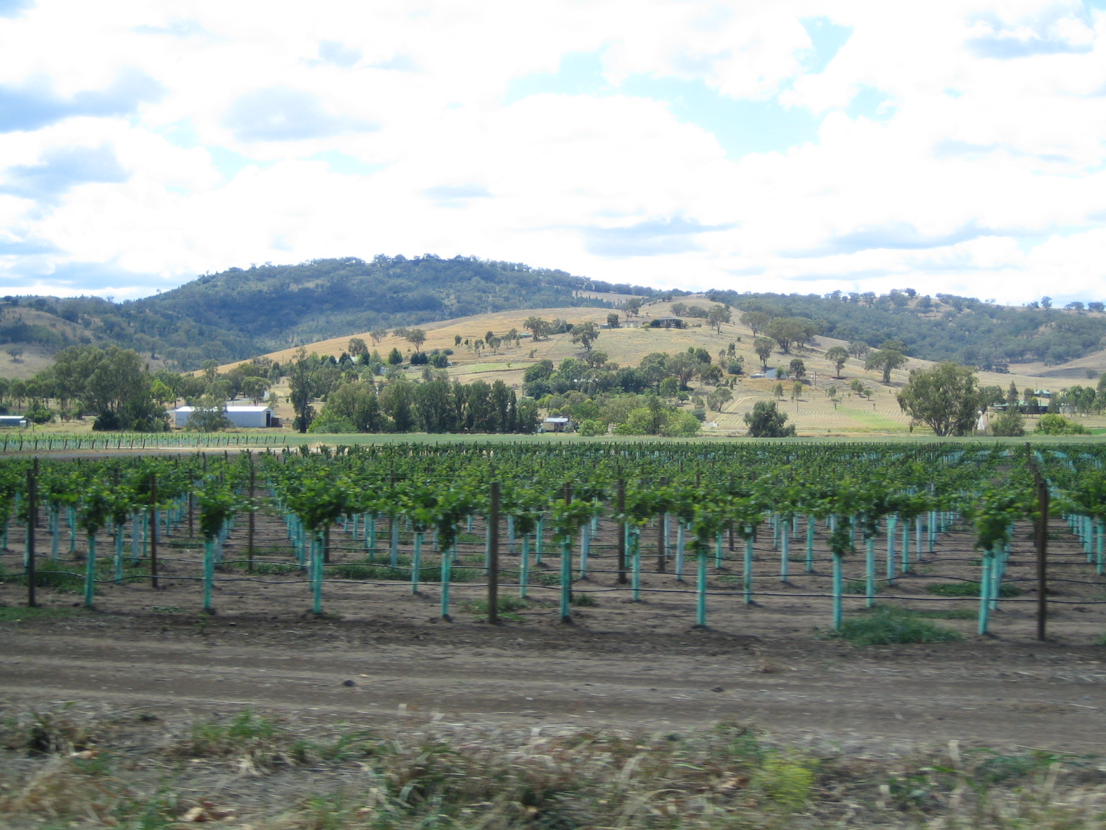 Night Day One: Armidale - Day Two Driving photos.