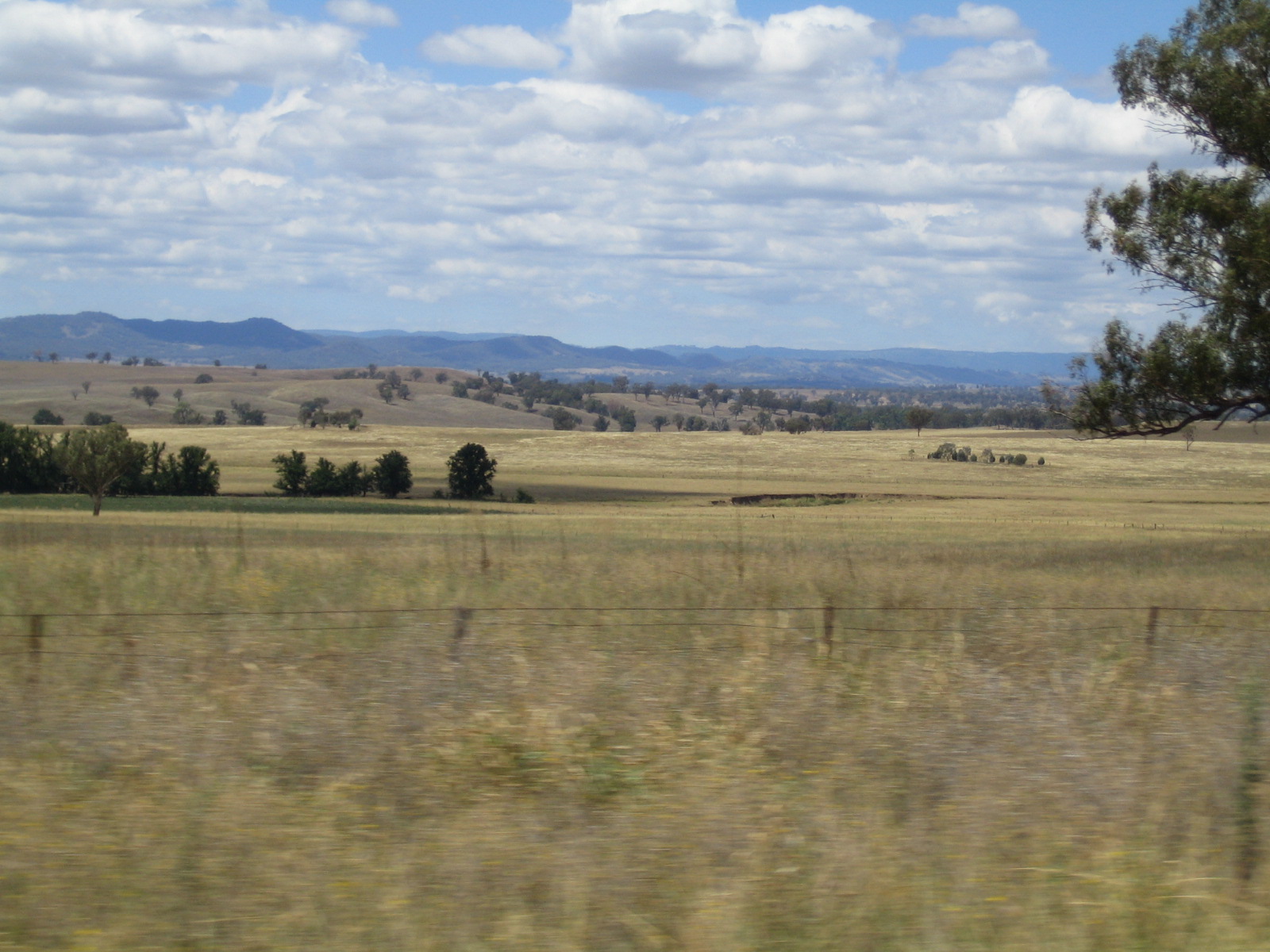 Day Two: Tamworth Kingdom Hall and countryside