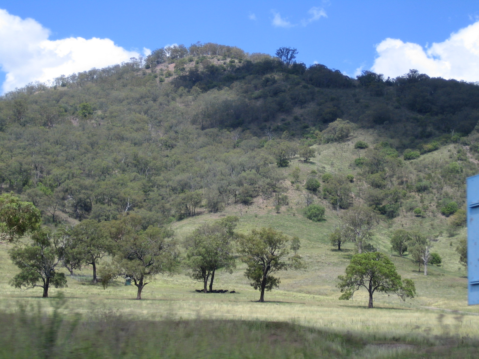 Day Two: Upper Hunter Valley