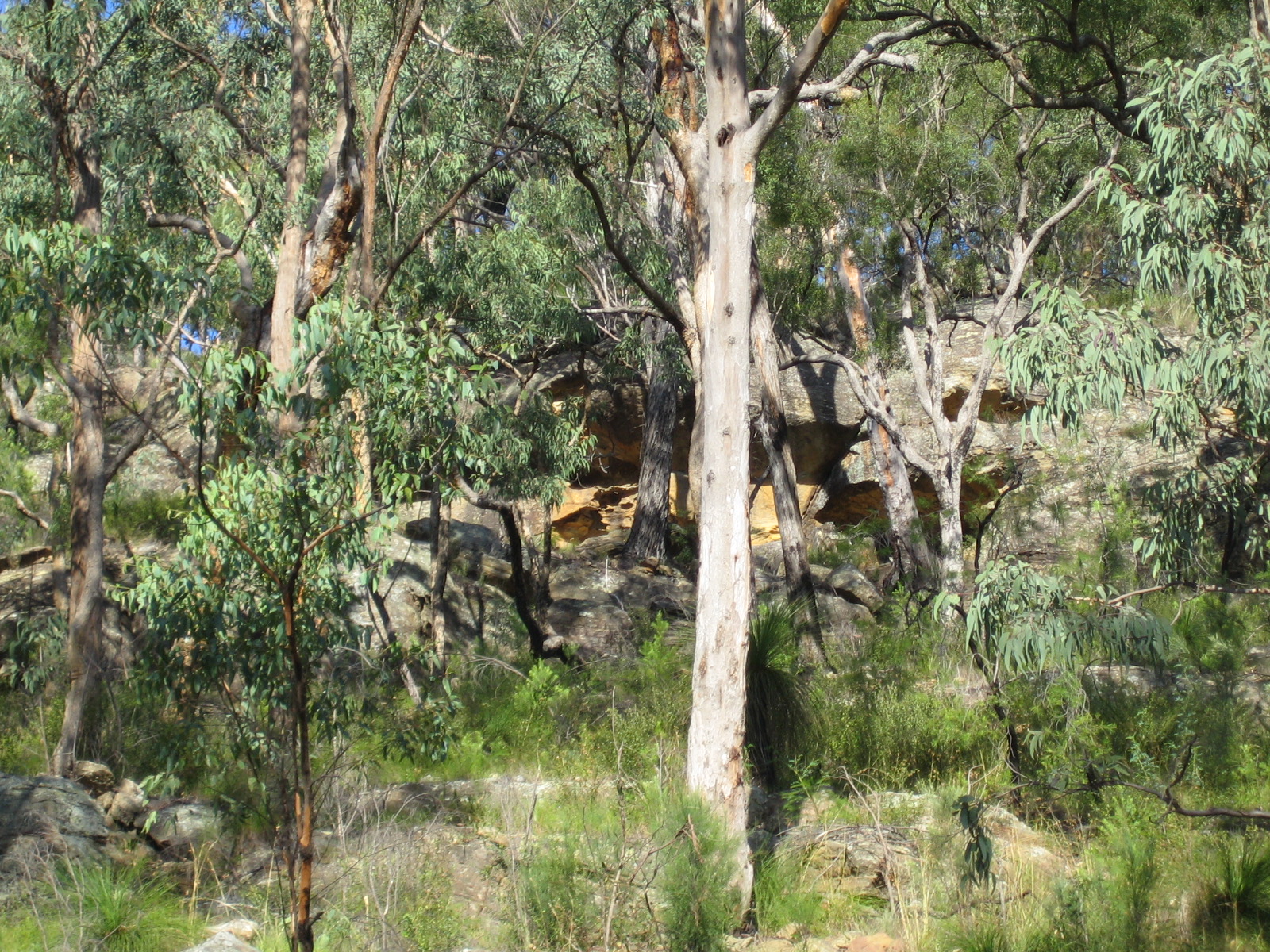 Day 2: A stop in the (Blue) Mountains