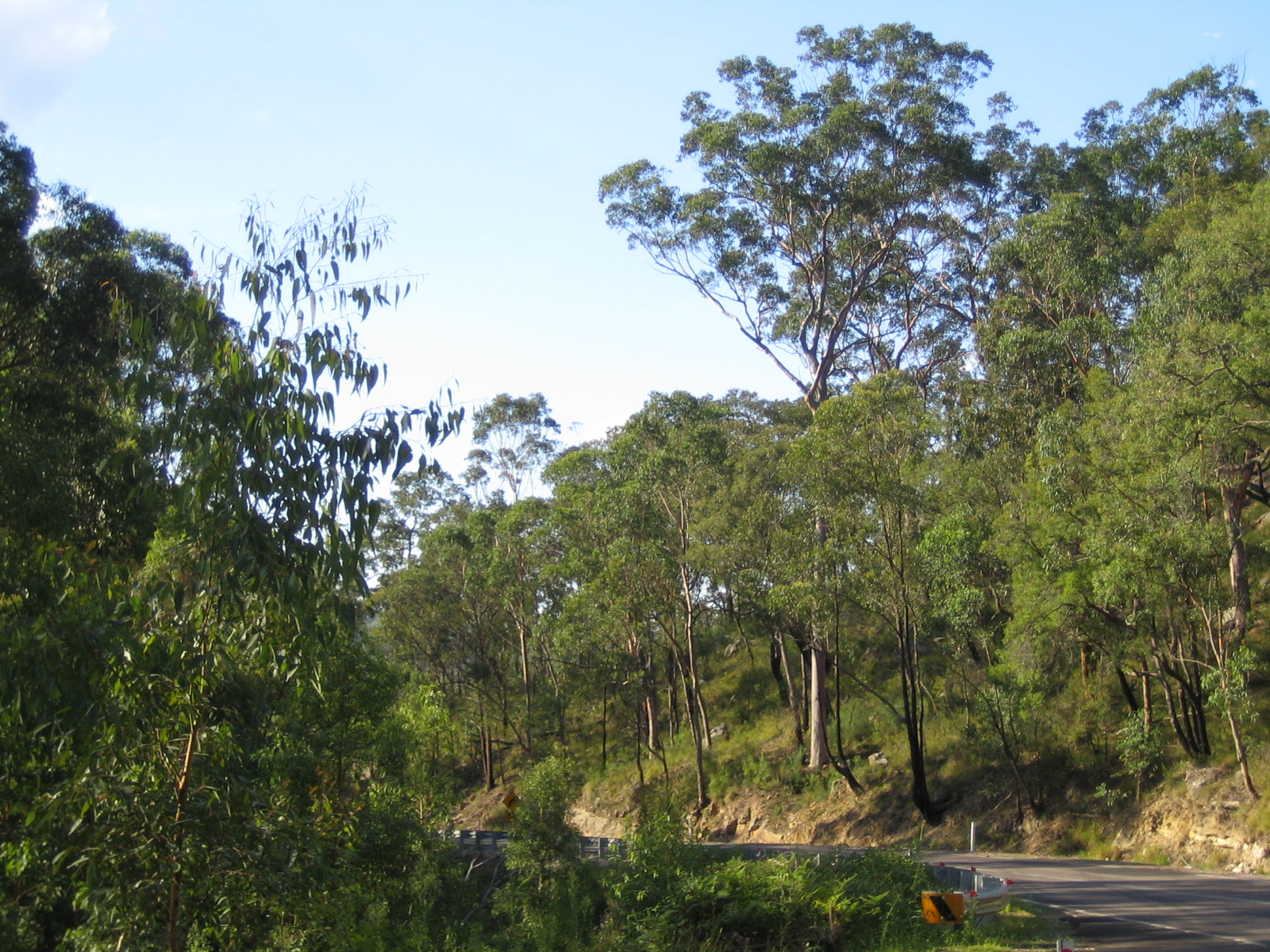 Day 2: A stop in the (Blue) Mountains