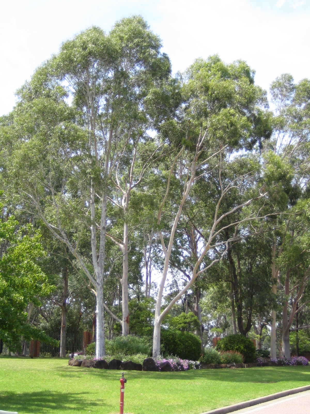 Day 3: A Tour of Bethel Australia