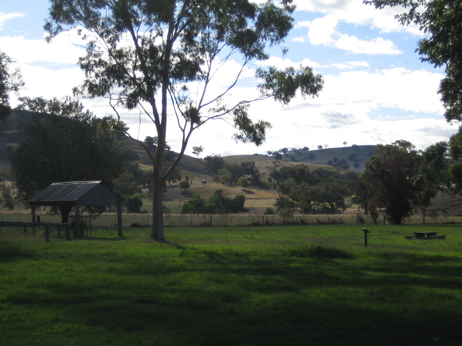 Day 4: On the road to Gundagai