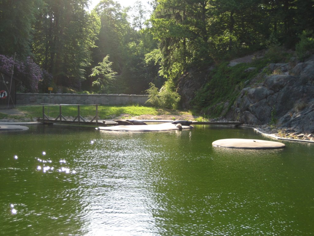 An outing to Slottsskogen Park