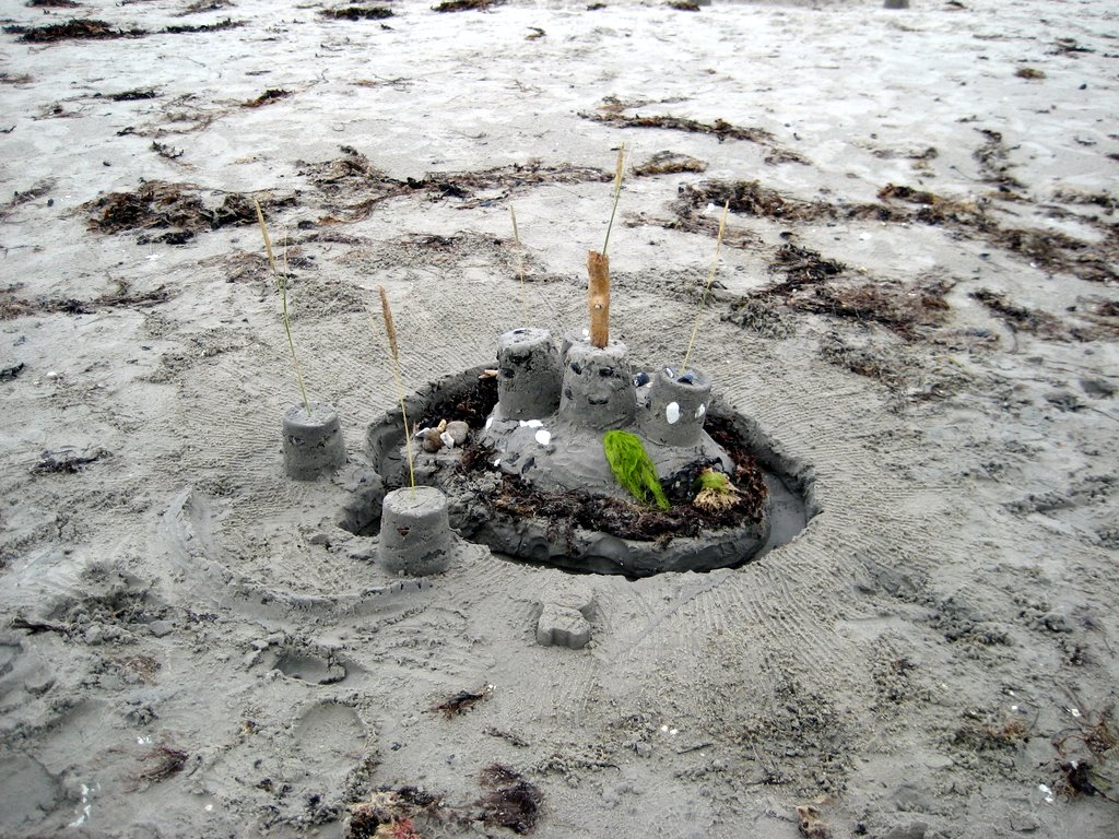 Sand Castles at Vig Beach