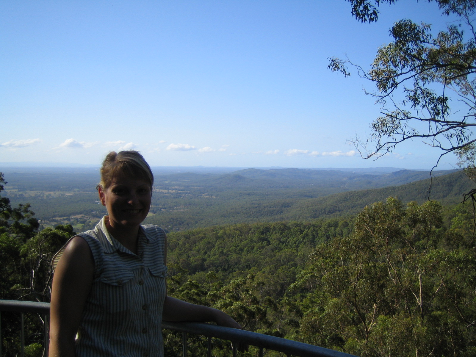 Mount Tamborine Bushwalk
